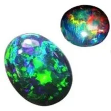 オパール化二枚貝化石・1,905ct・クーバーペディ産 — Coulson Opals